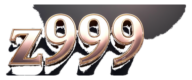zs999 logo